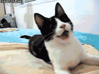 Zooey Deschanel GIF. Gifs Filmsterren Zooey deschanel Citaat Waar Problemen J Mooi Aanbiddelijk Schattige New girl 