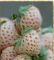 Aardbei Glitter plaatjes 