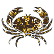 Dieren Glitter plaatjes 