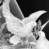 Duiven Glitter plaatjes 
