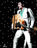 Elvis Glitter plaatjes 