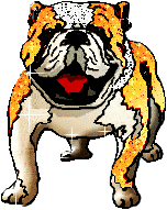 Honden Glitter plaatjes 
