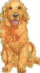 Honden Glitter plaatjes 