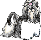 Honden Glitter plaatjes 