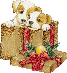 Honden Glitter plaatjes 