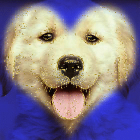 Honden Glitter plaatjes 