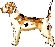 Honden Glitter plaatjes 