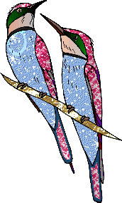 Kolibrie Glitter plaatjes 