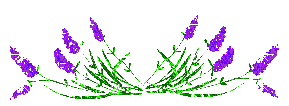Lijnen Glitter plaatjes 