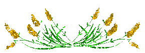 Lijnen Glitter plaatjes 