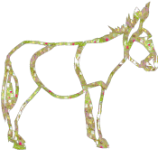 Paarden Glitter plaatjes 