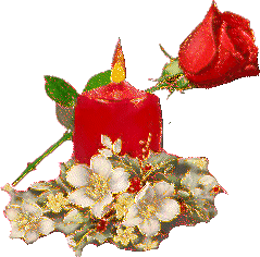 Rozen Glitter plaatjes 