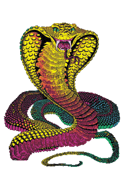 Slangen Glitter plaatjes 