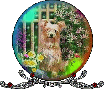 Globes Globes honden 