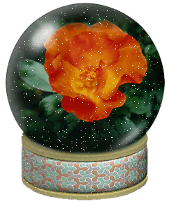 Globes Globes rozen 
