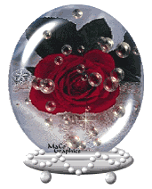 Globes Globes rozen 