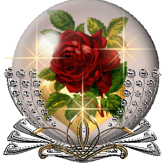 Globes Globes rozen 