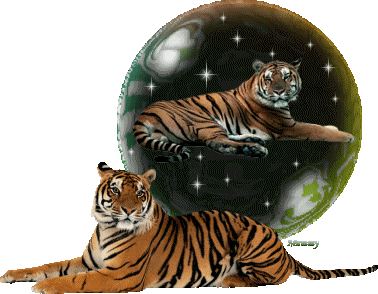 Globes globes tijgers 