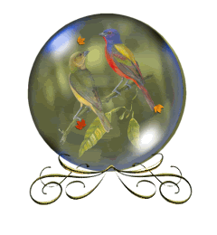 Vogels Globes 