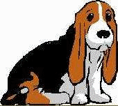 Honden plaatjes Bassets 