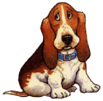 Honden plaatjes Bassets 