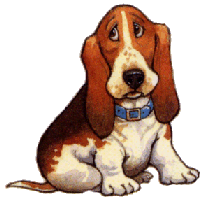 Honden plaatjes Bassets 