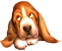 Honden plaatjes Bassets 