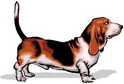 Honden plaatjes Bassets 