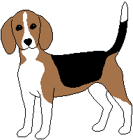 Honden plaatjes Beagles 