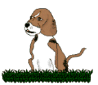 Honden plaatjes Beagles Hond, Blaffen, Beagle