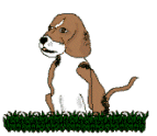 Honden plaatjes Beagles Hond, Blaffen, Beagle