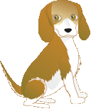 Honden plaatjes Beagles 