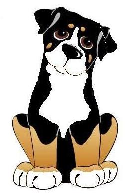 Honden plaatjes Berner senner 