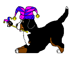 Honden plaatjes Berner senner 