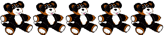Honden plaatjes Berner senner 