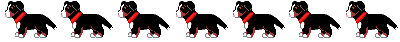Honden plaatjes Berner senner 