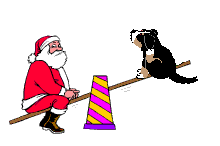Honden plaatjes Berner senner Kerstman En Hond Op De Wip