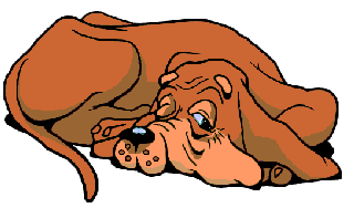 Honden plaatjes Bloedhonden 
