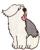 Honden plaatjes Bobtail 