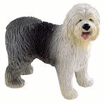 Honden plaatjes Bobtail 