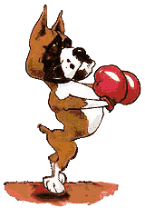 Honden plaatjes Boxers 