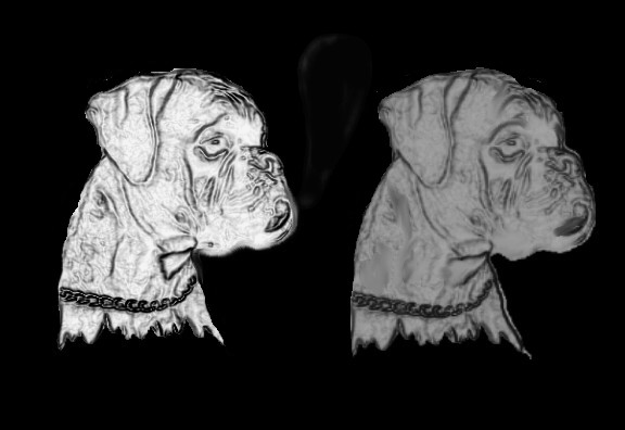 Honden plaatjes Boxers 