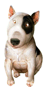 Honden plaatjes Bull terrier 