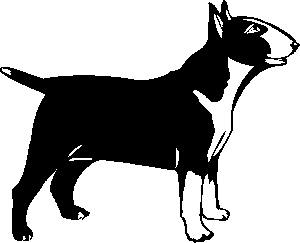 Honden plaatjes Bull terrier 