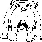 Honden plaatjes Bulldog 