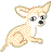 Honden plaatjes Chihuahua 