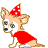 Honden plaatjes Chihuahua 