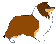Honden plaatjes Collie 