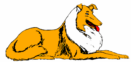 Honden plaatjes Collie 