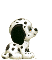 Honden plaatjes Dalmatier 